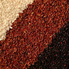 Rice nutrition